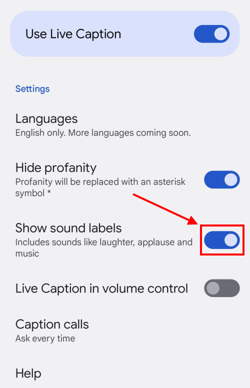 tap the toggle switch for Show sound labels to turn it on.